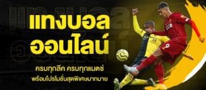 เว็บแทงบอล ได้เงินจริง