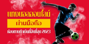แทงบอล789